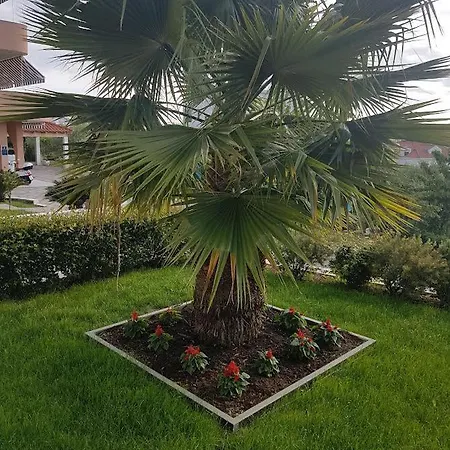 Smokvica Guest house